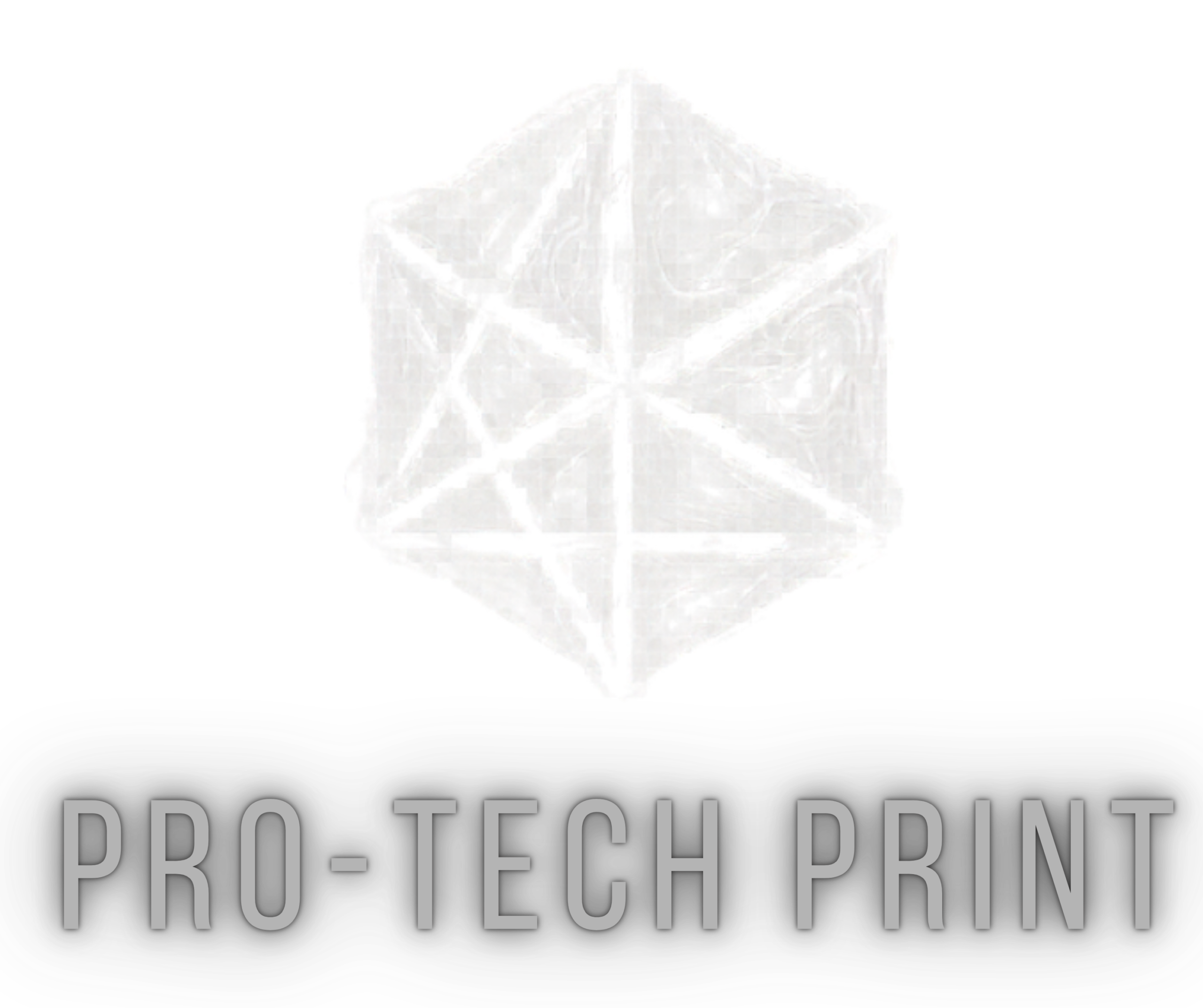 Pro-Tech Print Logo